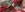 20180106_094951.jpg