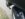 657D0B88-9BEB-4C8F-B7E0-3F5E8A42D5B2.jpeg