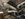 D9B680FC-B328-4DC2-99B4-9948601E91B0.jpeg