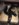 CCE561DF-5C11-4B5B-8121-19DDD864F8BD.jpeg