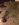 1BD67B9C-FA48-420A-8660-96D95E83ECA9.jpeg