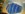 20180107_113350.jpg