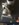 E4ECEB6F-BD25-4F60-8D86-870B1ACB73B8.jpeg