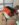 48E1C0DF-66D5-414A-BA7F-C2CB720547A3.jpeg