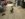 FD7D7E83-4C1C-4F40-AD63-6579115964A7.jpeg