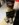 27ECDFF6-A362-4251-98B3-F7A8B6E8F475.jpeg