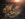 EFA21AE4-C654-457D-B94B-229764A0E674.jpeg