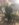 633214E7-EF69-4BD4-9A5B-A7381B22EADD.jpeg