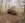 MorrisMountain2.png