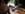 CBF98CA3-669D-46F9-860A-47D950E954DC.jpeg