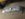 IMG_20180120_191436288_LL.jpg