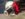 FB_IMG_1516473776141.jpg