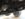 EAFA31C7-6BB2-4D88-9375-D3C029E8C6E2.jpeg