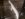 20180119_145157.jpg