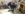 12102.jpeg