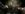 12066.jpeg