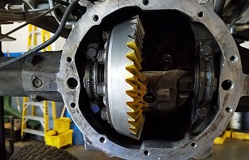 20170819_112158.jpg