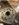 1F33FC57-65D9-4A58-8EE3-47BB8F16F822.jpeg