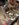 87CD2979-80C0-41F4-B0D7-7FC0C734FE0B.jpeg