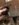 9C2B853F-DE3A-4A60-BE28-9C9ABF1B3017.jpeg