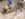153727DB-D9B4-4F1C-92D8-5E5BBDD9BFEE.jpeg