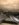 9A43D239-1F5F-48C3-8535-A30D0B2D1725.jpeg