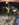 5AAE51CC-2515-476B-BD97-D512EAD83BAB.jpeg