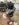 8EF5DC53-9AAF-4C7C-986A-4984CA2A0C60.jpeg