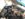 thumbnail.jpg