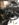 D6294C9C-642F-4C7B-951F-E25104FF7704.jpeg