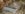 20180207_224712.jpg