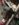 3D362362-E172-4A96-ADA7-37A63CAE2180.jpeg