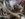 20180210_154658.jpg
