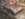0C65AAC3-05D4-4123-B9A5-DC021113FD27.jpeg