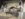 4F78F774-8065-47B3-B142-E9D8CE6CA876.jpeg
