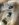 IMG_5397.JPG IMG_5397.JPG