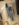 342E268F-C7C3-4A12-AC20-1ADE0F91DEC5.jpeg