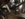 21EFE465-DED3-4409-A8BC-3D6972787A47.jpeg