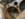 D067C7DC-2DEE-4F46-9B60-4FA72B40B83E.jpeg