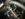 7DFD8765-9D40-44DB-8A61-F950B07D90AB.jpeg