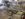 IMG_20180213_154637477_LL.jpg