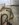 AF6915FA-601C-480F-9B7F-40F40401D7DB.jpeg