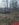 7519.jpeg