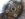 2CD70B42-CCE1-4F87-BB25-770F59B87E7B.jpeg