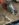 B26F696B-0073-47FB-A403-EFFDB5E21048.jpeg