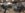 C6A68118-811D-4178-B457-D4C7656B429E.jpeg