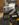 79BECC37-0B0F-4D57-8B9C-24C05CD702BF.jpeg