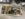D7CCC90D-D502-4539-AB26-74A4B621AAF4.jpeg