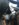 3CD2FC27-B5FF-40D5-A22F-509A4868EF9E.jpeg