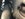 3ED93C88-4CB3-4212-A86F-A222C5FC281E.jpeg